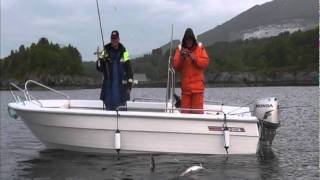 giant 47 LB cod on light fishing gear  Vevang Norway fishing [upl. by Brouwer]