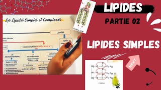 📣3 Les Lipides Partie 02  Les Lipides Simples Triglycerides اقوى شرح لللبيدات😍 LIPIDS [upl. by Feune719]