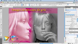 Adobe InDesign CS5  Image à niveaux de gris [upl. by Anilehcim]