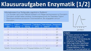 Enzyme  Enzymatik  Klausuraufaben 1 von 2  Biologie Oberstufe [upl. by Hallett]