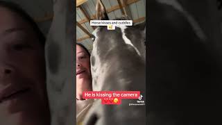 Horse kisses and cuddles 🥰 horse equestrian thoroughbred rescuehorse love familyfarm equine [upl. by Darlene]