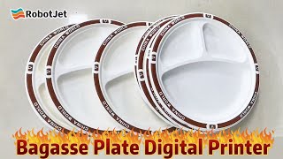 Bagasse Plate Bagasse tableware [upl. by Dagall538]