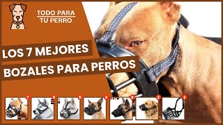 Los 7 mejores bozales para perros [upl. by Aalst]