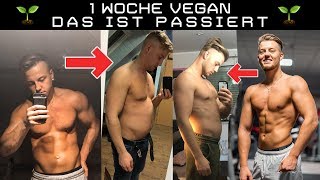 WIR HABEN UNS 1 WOCHE VEGAN ERNÄHRT [upl. by Aretak]