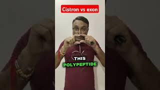 Cistron vs exonpolypetide chain entire dna limituptomrnapankaj sir [upl. by Camille470]