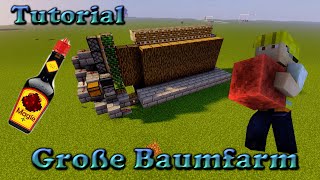 Minecraft 1165 Tutorial Große Baumfarm [upl. by Eam]