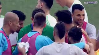 algerie vs togo can 2019 41 [upl. by Nyloj]