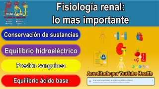 Anatomía del sistema renal  Parte 1 [upl. by Rida]