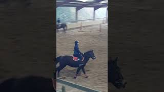 Demain vlog concours 😋 horse chevalpassion cheval passion equestrian pony sport vlog [upl. by Teyugn101]