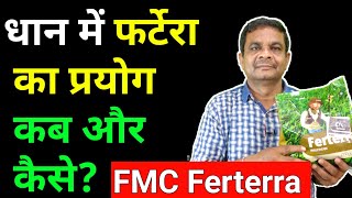 धान में फर्टेरा का प्रयोग कब और कैसे  FMC Ferterra In Paddy Crop [upl. by Ahseryt]