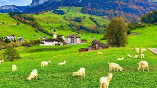 Switzerland countryside life  Relaxing walk in Switzerlands most beautiful villages [upl. by Alurd]