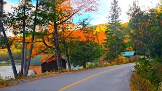 Gatineau Park in Fall canada quebec [upl. by Mchugh]