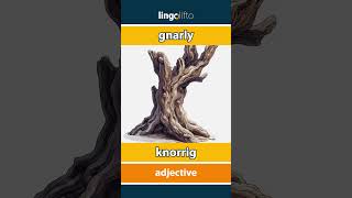 🇬🇧🇩🇪 gnarly  knorrig  vocabulary builder  learn English  Lernen wir Englisch [upl. by Euqnomod]