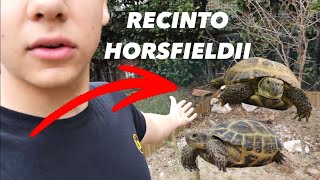 sistemo il RECINTO delle TESTUDO HORSFIELDII [upl. by Chalmer]