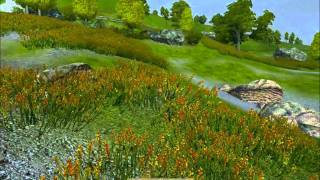 Oblivion Mod Review quotRealistic Waterquot and quotLush and Gaudy Landscapequot [upl. by Lenhart]