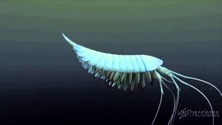 500 Million Year Old Arthropod Discovered  See How It Swam  Animation [upl. by Dowell]