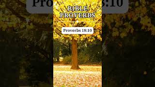 Proverbs 1810 🙏 short prayer proverbs [upl. by Aborn]