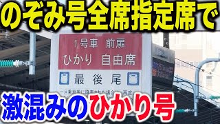 【格差が激しい？】のぞみ全車指定席になった帰省ラッシュでひかり号の自由席に乗ってみた結果【東海道新幹線】 [upl. by Tychon701]