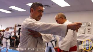 Dejitaru Karate Do Seminar Kyoshi Sato 2019 [upl. by Nylra584]