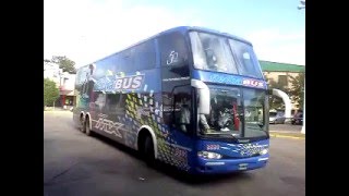 flecha bus jovi bus terminal de concordia [upl. by Minsat]