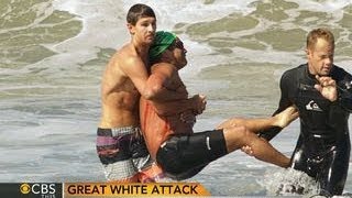 Great white shark attack California swimmer survives bite [upl. by Enairb399]