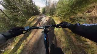 Mtb Trail Riding quotLeapin Wolf Redquot red grade trail Laggan Wolftrax mtb trails Scotlad [upl. by Nosdivad]