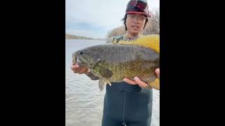 MAGNUM SMALLMOUTH BASS [upl. by Peyter]