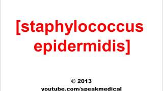 Pronounce Staphylococcus Epidermidis  SpeakMedical [upl. by Connell201]