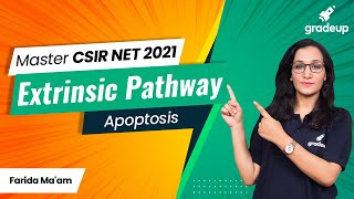 CSIR NET Master Series  Apoptosis  Extrinsic Pathway  Gradeup  Farida Ma’am [upl. by Devona697]