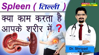 Spleen क्या काम करता है आपके शरीर में   What does spleen do in your body [upl. by Naus645]