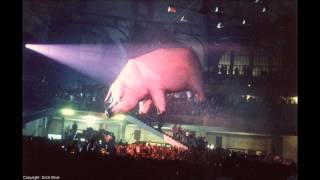 Pink Floyd LIVE  Paris France 1977  SHEEP  Animals Tour [upl. by Carla]