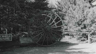 White Pine History Logging in Michigan [upl. by James]