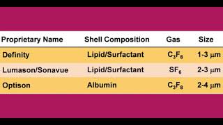 Left Ventricular Thrombus 2D Echo vs Contrast Study [upl. by Nolra613]