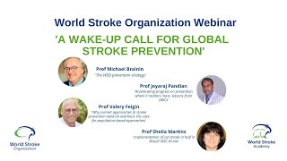 WSO Webinar Primary Stroke Prevention [upl. by Santa290]