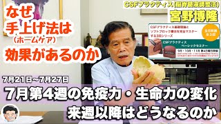 2024年7月第4週721〜727の免疫力・生命力の変化‼︎ 【宮野博隆】ＣＳＦプラクティス（脳脊髄液調整法） [upl. by Odnomar701]