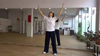 💛 Mawangdui Daoyin Shu 👉🏻 Qigong para la salud 💖 [upl. by Peg]