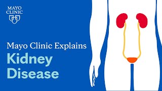 Mayo Clinic Explains Kidney Disease [upl. by Marutani265]