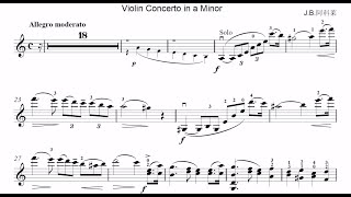 Jean Baptiste Accolay Violin Concerto No1 in A minor for Violin amp Full Orchestra Allegro moderato [upl. by Nemra]