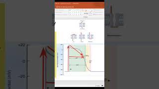 Refractory periods in cardiac muscle Cardiac Cycle l1st Year MBBS youtubeshorts youtube ytshorts [upl. by Ainimreh]