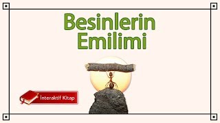 AYT Biyoloji  Besinlerin Emilimi sayfa72 [upl. by Acirretahs]