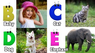 ABC Song for Kids  Learn Alphabet for Toddlers  Phonics for Kids  Alphabet Letters [upl. by Francois]