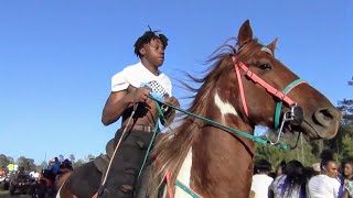 Unloading Trail Horses of Foreman Arkansas Trail Riders [upl. by Pros]