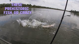 Jon Boat Chronicles EP 4 We Finally Got a Gar In The Boat [upl. by Eerbua]