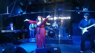 Cloudbusting  performed by Kate Bush tribute  Moments Of Pleasure [upl. by Ysset321]