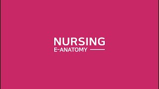 Nursing eAnatomy 홍보영상 [upl. by Jennine]