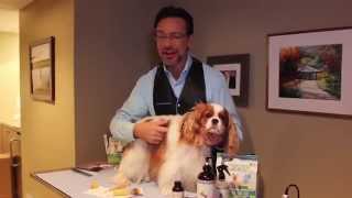 Jorge Benderskys Grooming Tips  Web Extra  The Meredith Vieira Show [upl. by Elke572]