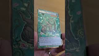 Naturia Beast Extended Art Sponsored Project yugioh [upl. by Tamar793]