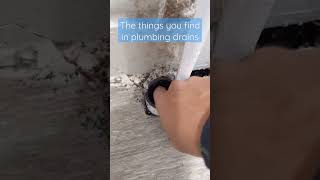 Laundry drain is backing up the things you find in drains [upl. by Ambrosi]