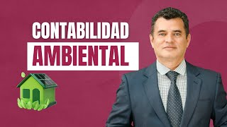 Contabilidad Ambiental [upl. by Rubel]