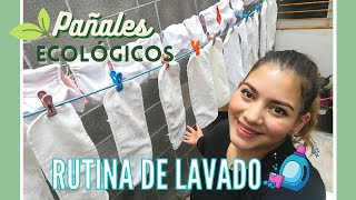 Cómo lavar PAÑALES ecológicos🧼♻️ fácilmente MI RUTINA 😃🌎 Karla Zaberry [upl. by Lenore]